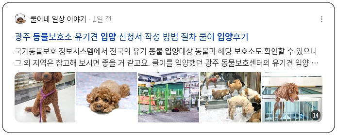 동물 입양_2_subsection