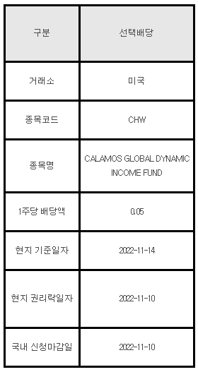 미국주식 선택배당 안내 CHW