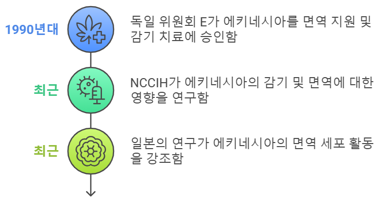 에키네시아 미국 및 글로벌에서 연구