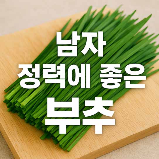 남자 정력에 좋은 음식 부추 영양 효과 부작용 섭취 방법 알아보기