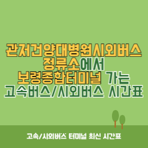 관저건양대병원시외버스정류소에서 보령종합터미널 가는 시외버스 시간표 최신정보