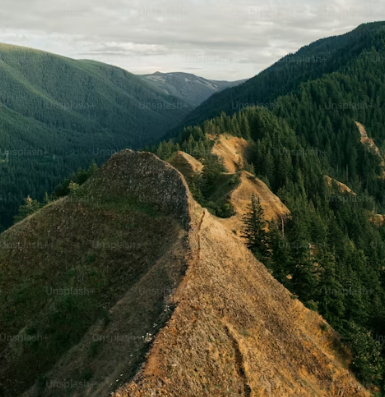기후동행카드 신청방법&amp;#44; 판매처&amp;#44; 사용법&amp;#44; 충전방법&amp;#44; 할인