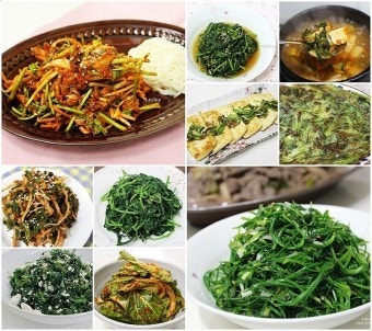 환절기 봄철 건광관리