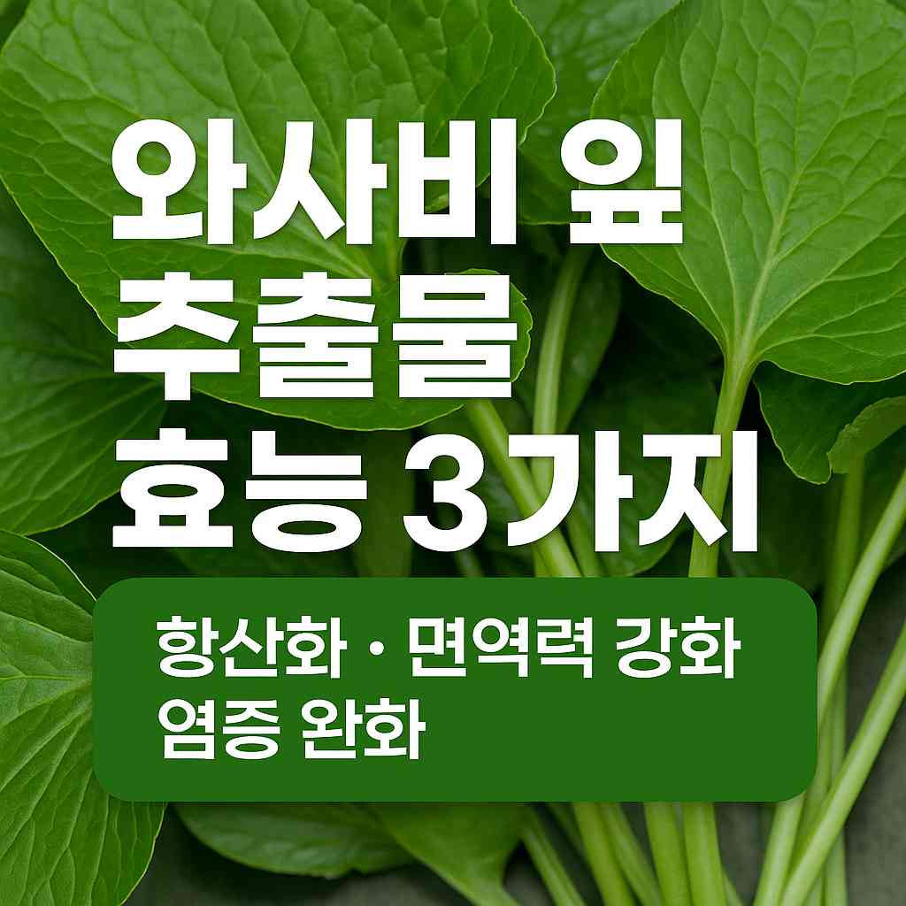 와사비 잎 추출물 효능 3가지
