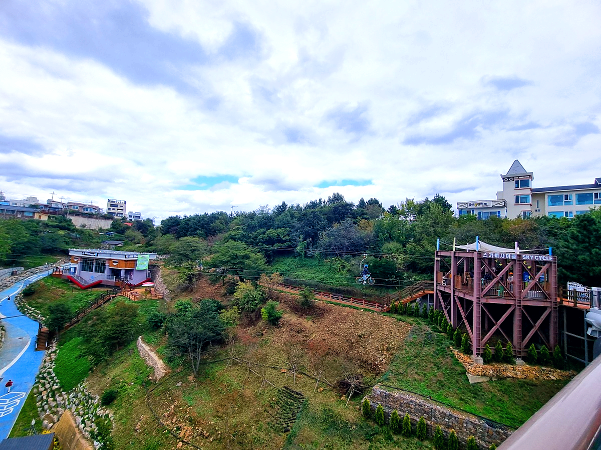 동해 묵호 가볼만한곳 도째비골 스카이밸리 총정리|입장료·전망·레포츠·스탬프투어