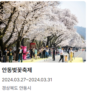 안동벚꽃축제