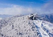 발왕산 케이블카 요금 및 예약 최신 정보 총정리