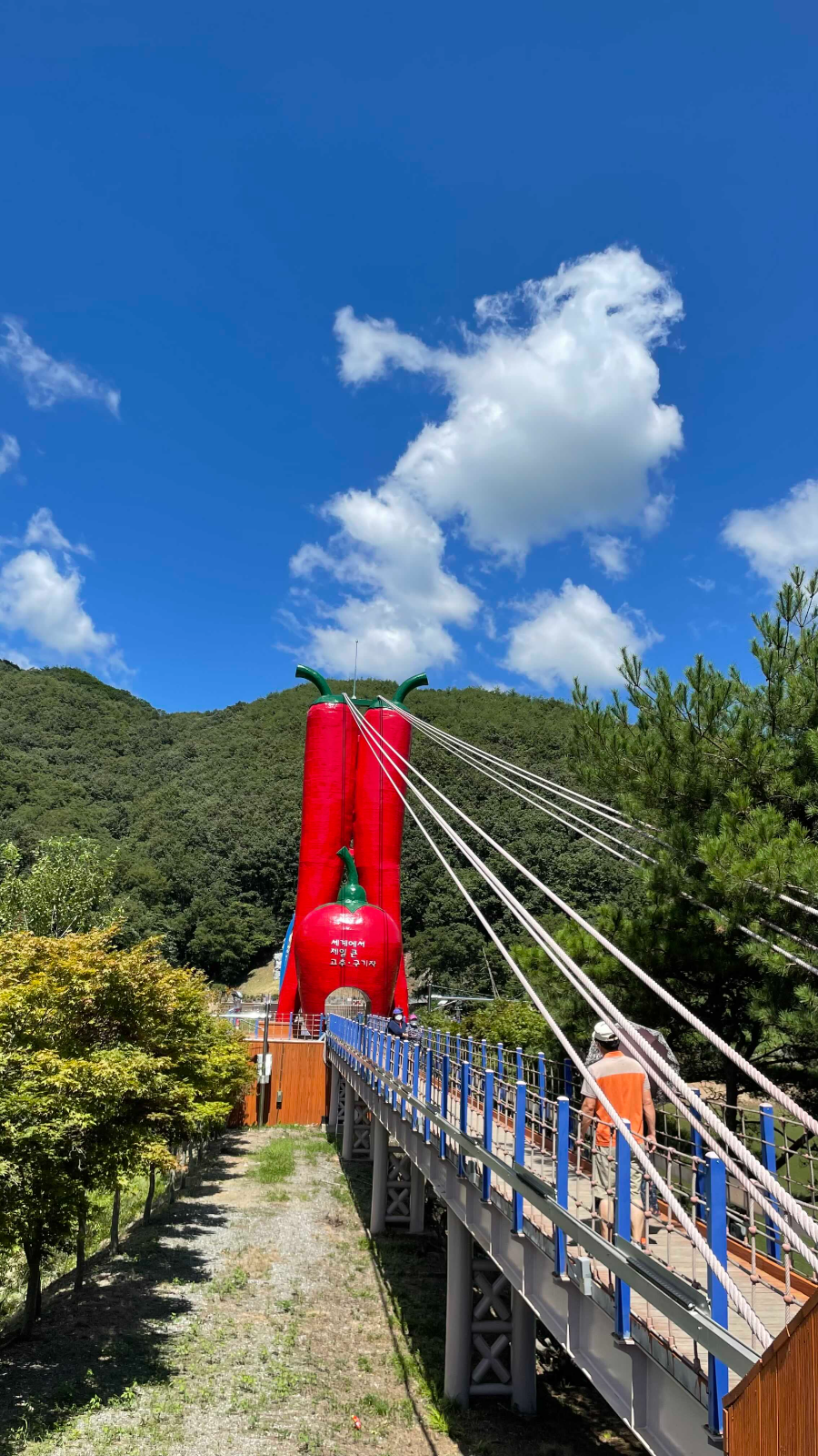 청양 천장호 출렁다리