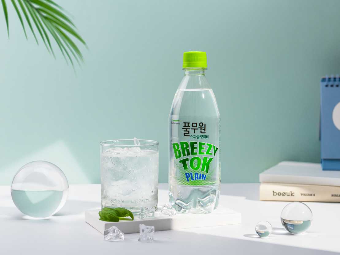 브리지톡 플레인