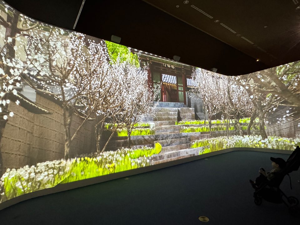 [대구박물관 관람 가이드] 어린이 체험존&middot;디지털아트&middot;전시실&middot;주차&middot;예약 안내