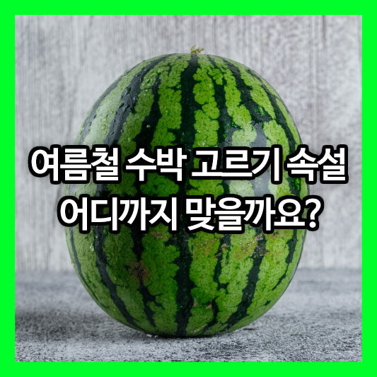 여름철 수박 고르기 속설 어디까지 맞을까요?
