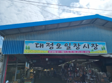 애견 이동장2