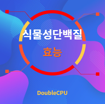 식물성 단백질 효능 탐구