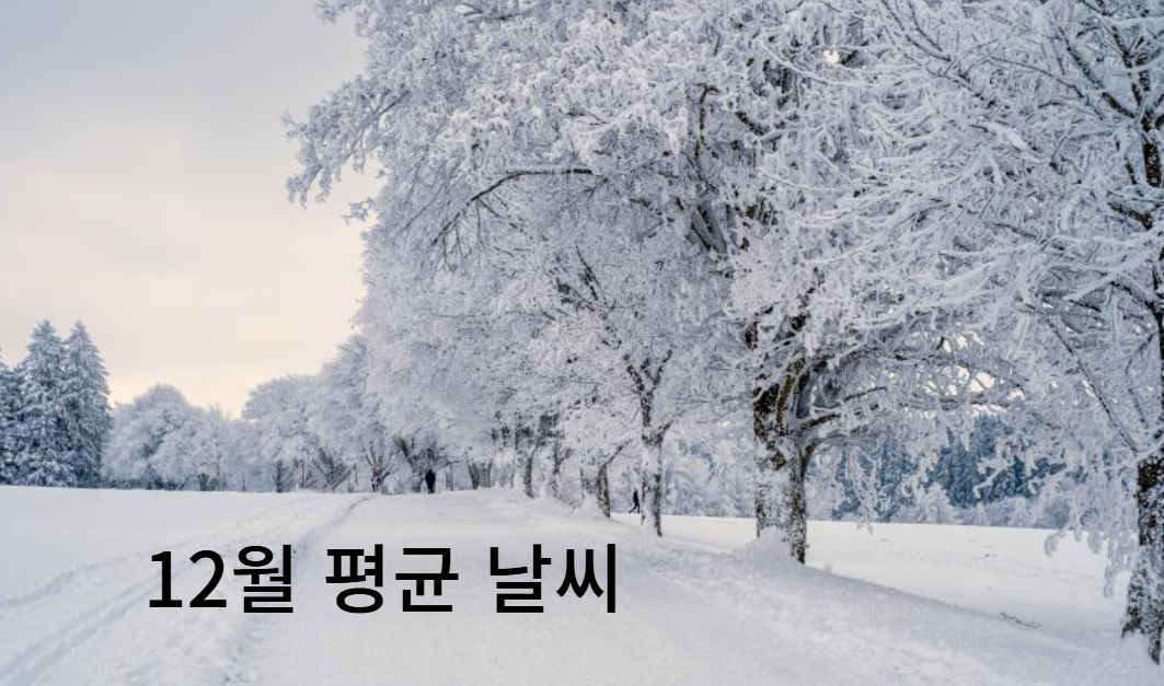 우리나라 12월 평균 날씨