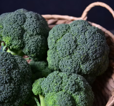 브로콜리 효능과 부작용 고르는법 칼로리