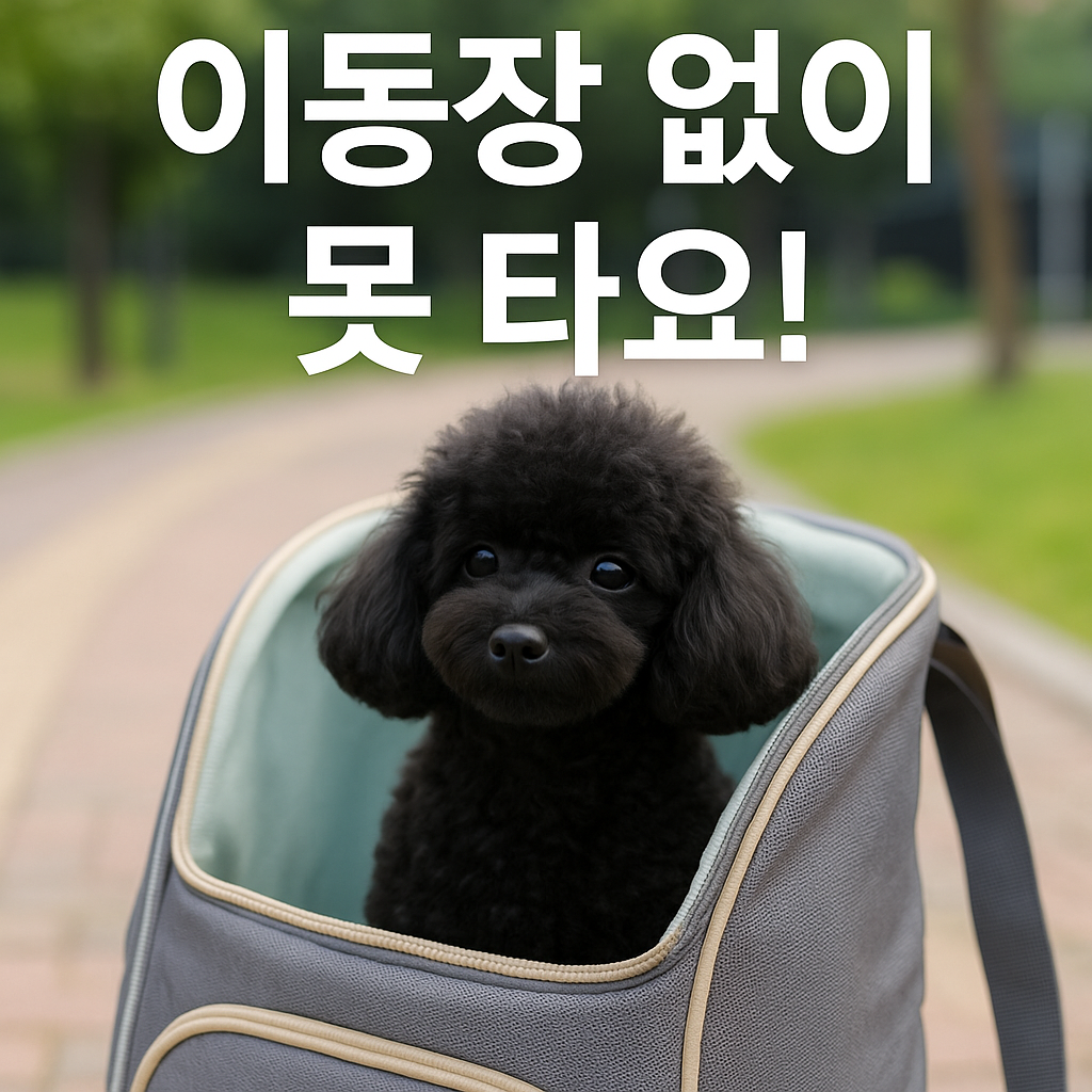 가방으로 이동하는 블랙 푸들