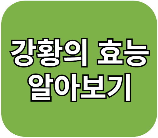 강황, 강황가루, 강황효능 바로 알고 섭취하기