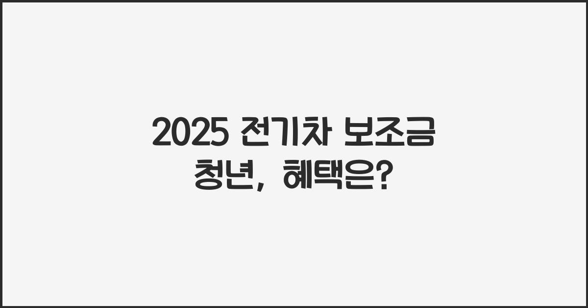 2025 전기차 보조금 청년