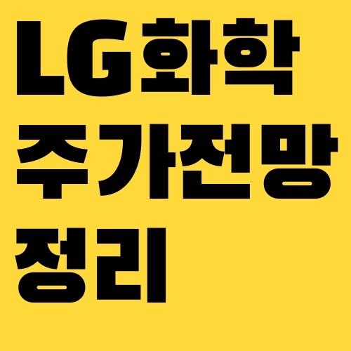 LG화학 주가 전망