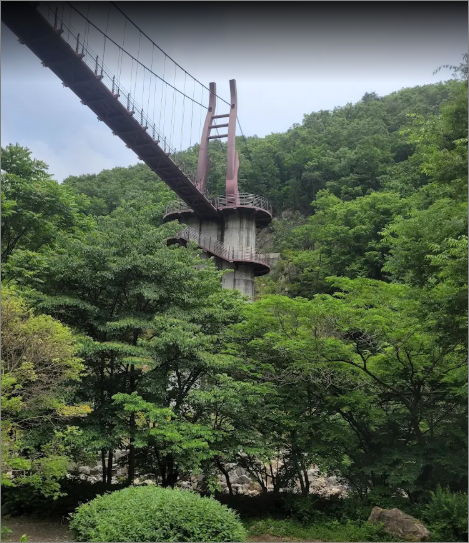 금산 자연휴양림