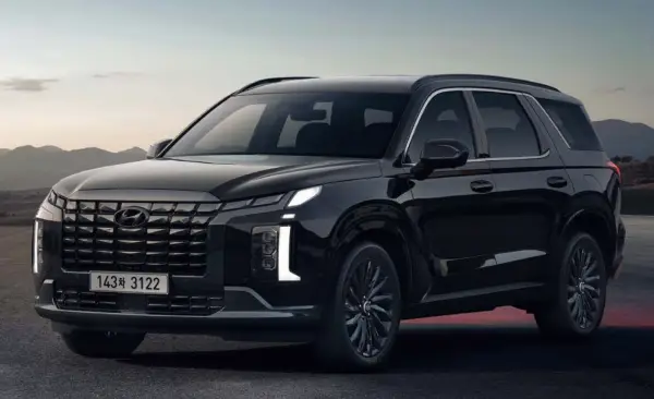 팰리세이드 사선 모습