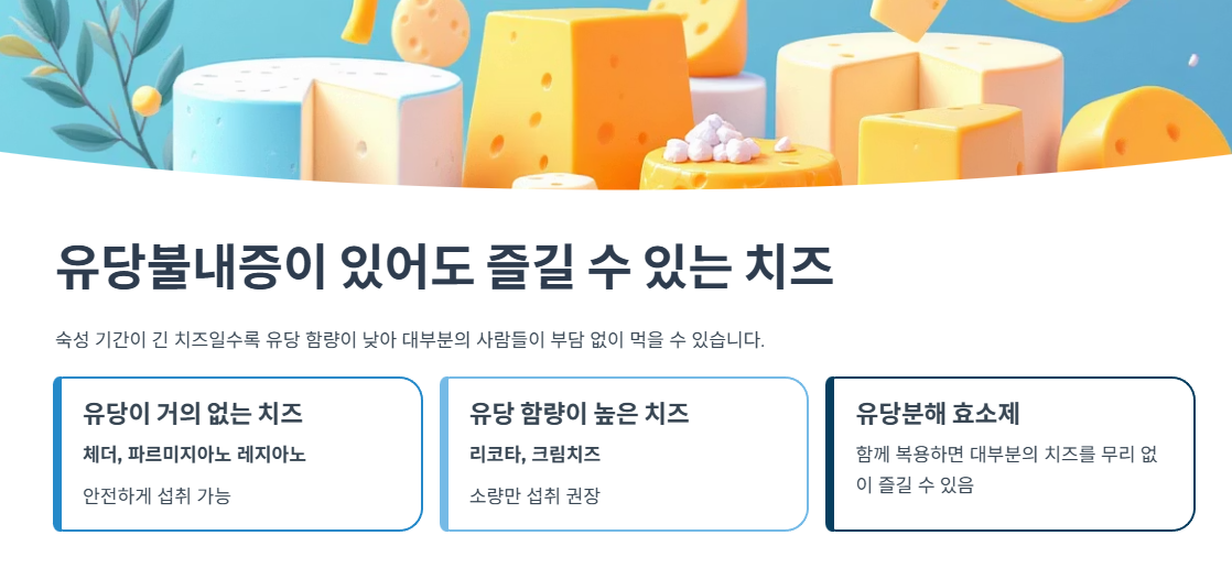 유당불내증이 있어도 즐길 수 있는 치즈