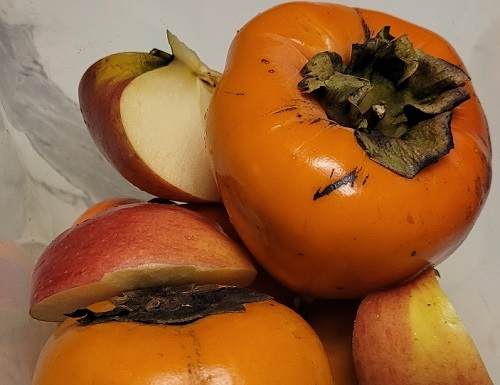 떫은감 삭히는 법