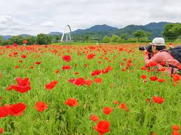 10월 서울근교 가볼만한 곳 베스트