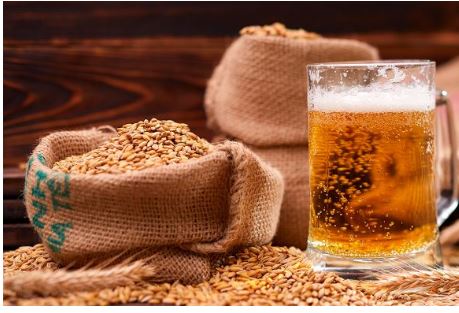 맥주효모의-효능