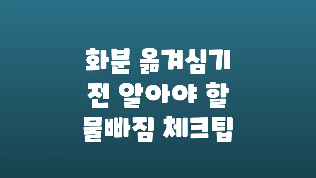 화분 옮겨심기 전 알아야 할 물빠짐 체크팁