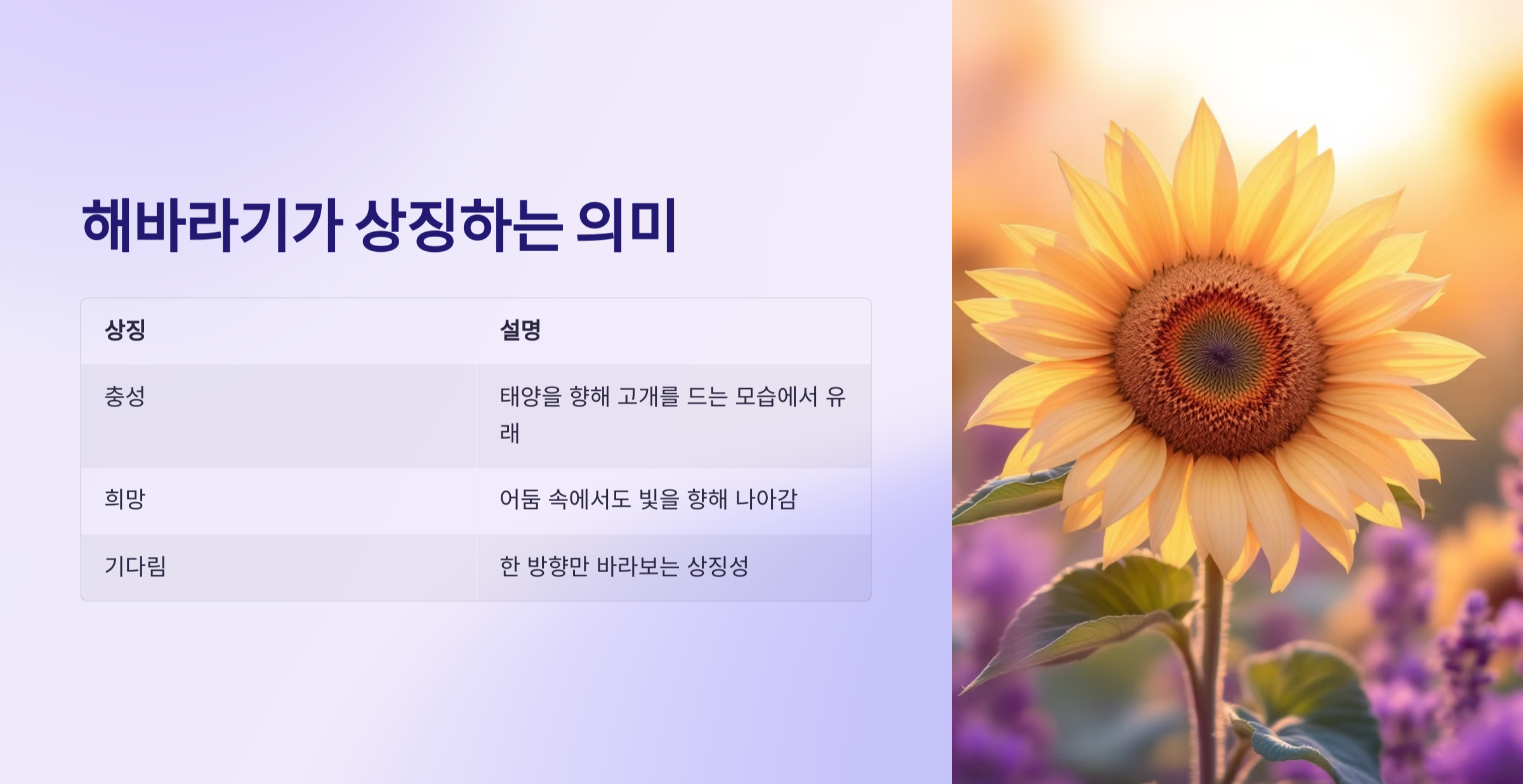 상징하는 의미