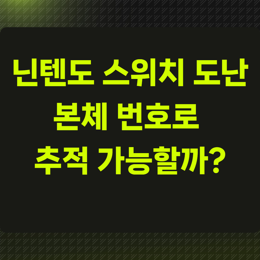 닌텐도 스위치 도난