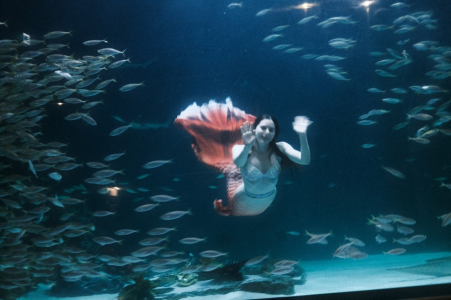 물속에 인어가 손 흔드는 모습