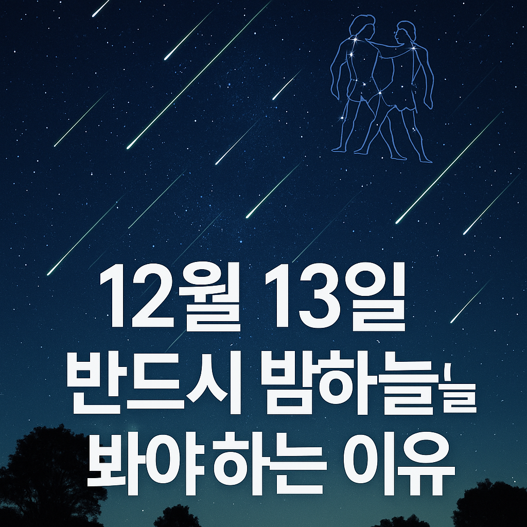 쌍둥아자리 유성우