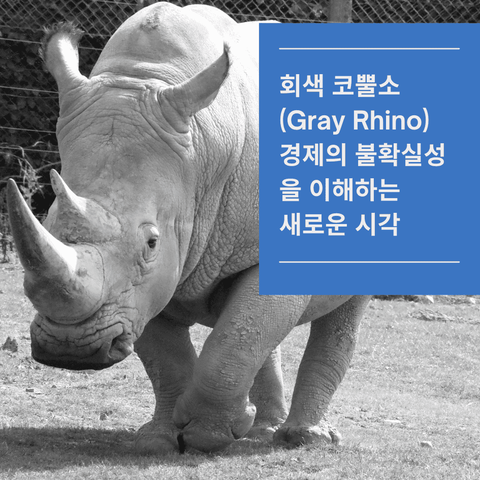 회색-코뿔소(Gray-Rhino)-경제의-불확실성을-이해하는-새로운-시각