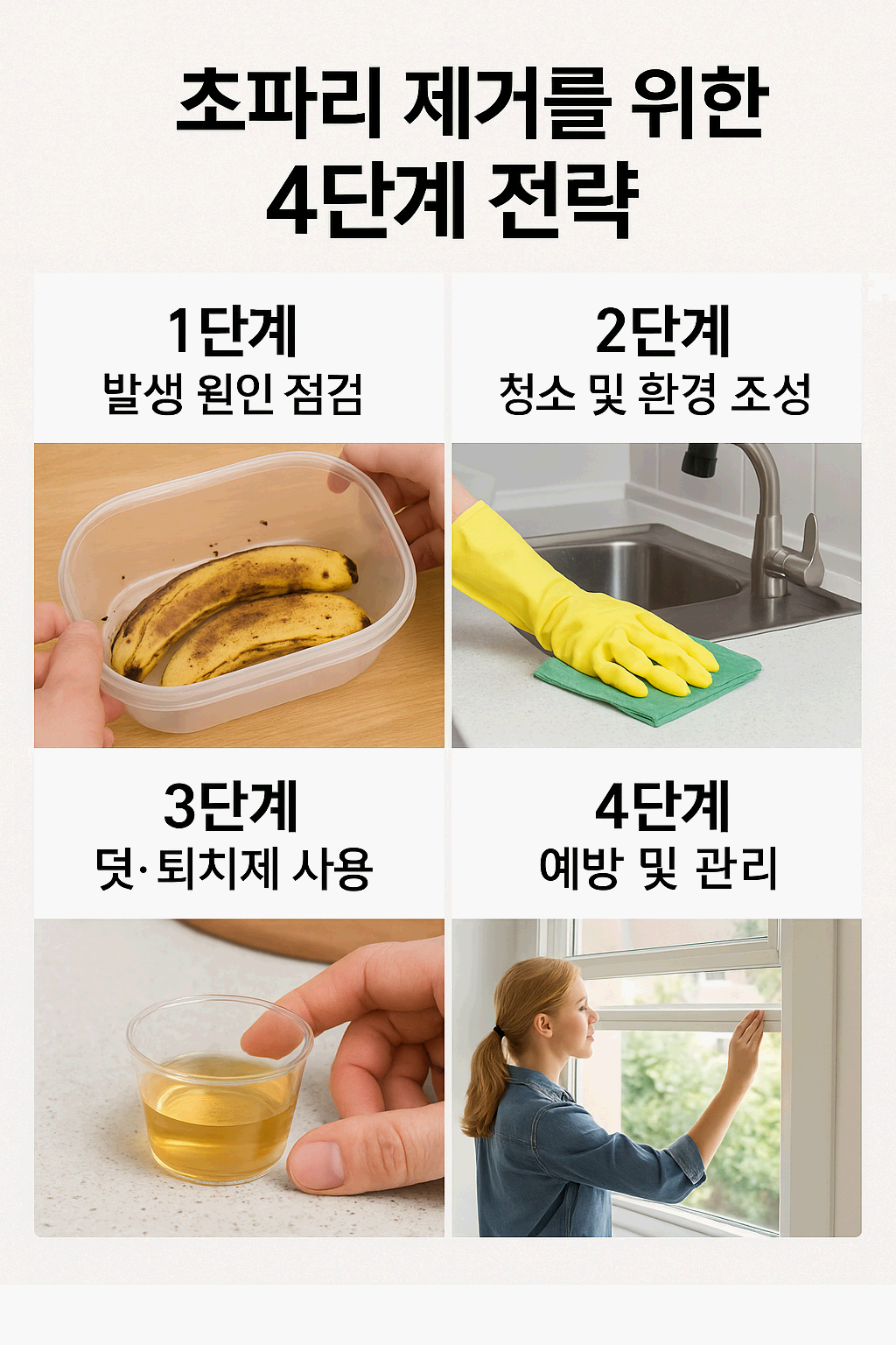 여름철 초파리 제거로 청결 유지