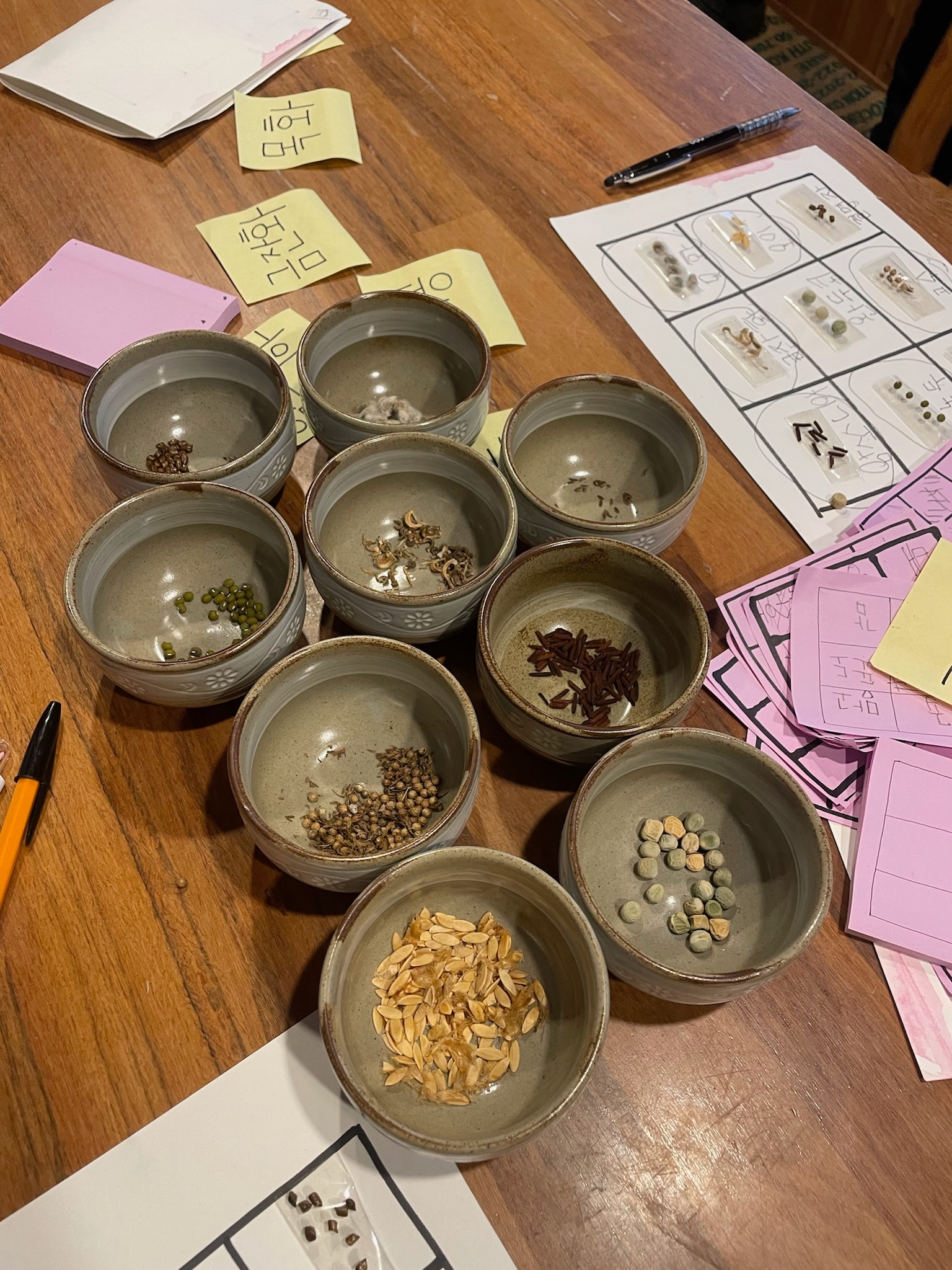 20231117 텃밭수업 씨앗 빙고를 준비하는 중