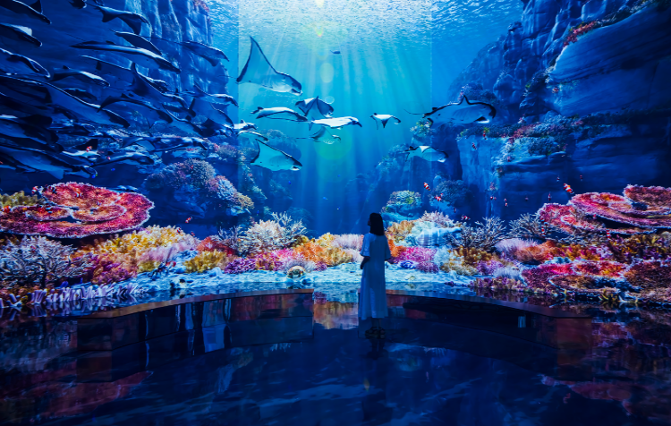 파주 뮤지엄헤이