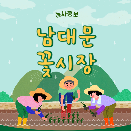 남대문 꽃시장