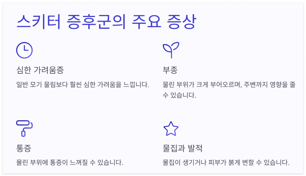 스키터증후군-주요증상-특징