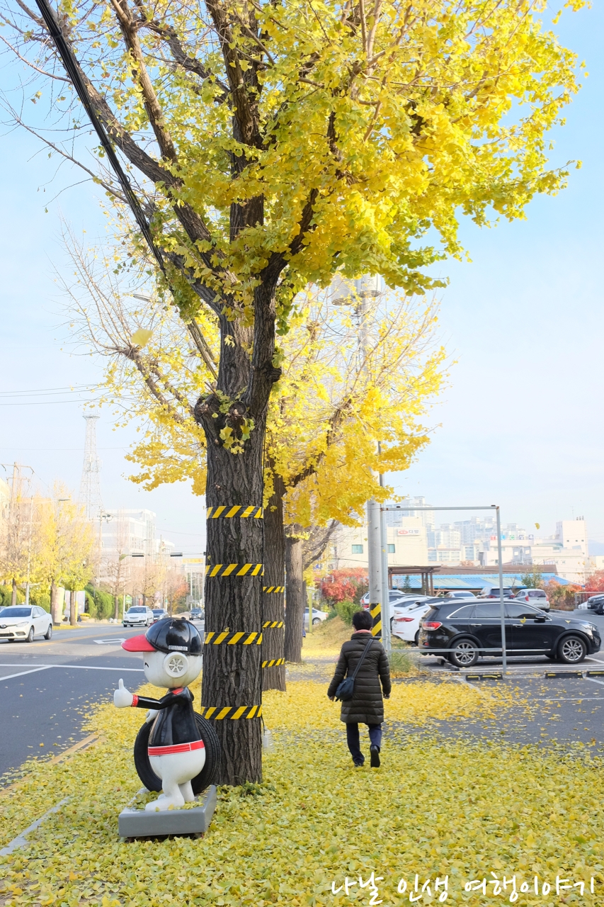 “곡교천변_은행나무길_11”data-filename=