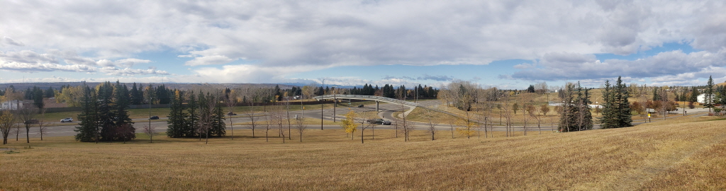 넓은 갈색 들판 너머로 이어지는 도로와 고가도로가 보이며, 양옆에는 키 큰 소나무들이 줄지어 서 있다. 배경에는 흐린 구름과 파란 하늘이 섞여 있는 가을 풍경이 펼쳐져 있다. 몇몇 차량이 도로 위를 달리고 있고, 들판은 낙엽이 떨어진 채 겨울을 준비하는 듯한 풍경을 보여준다.