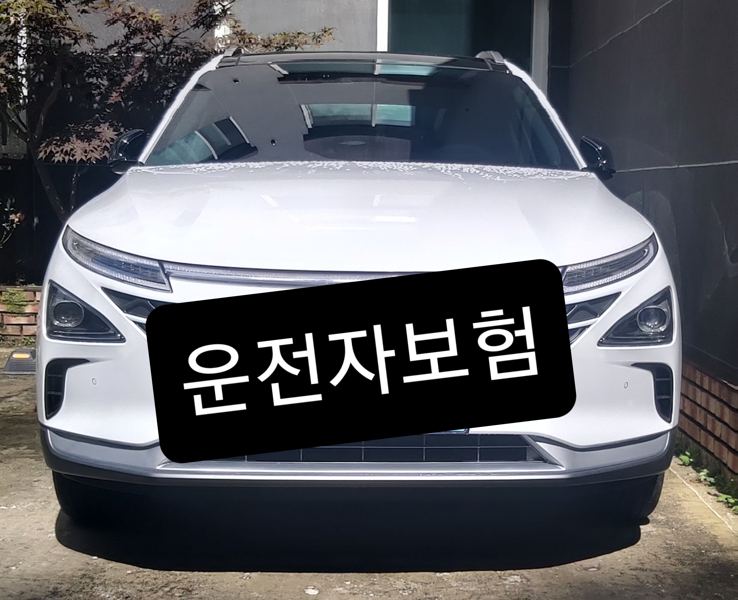 운전자보험,자기부상치료비,보험