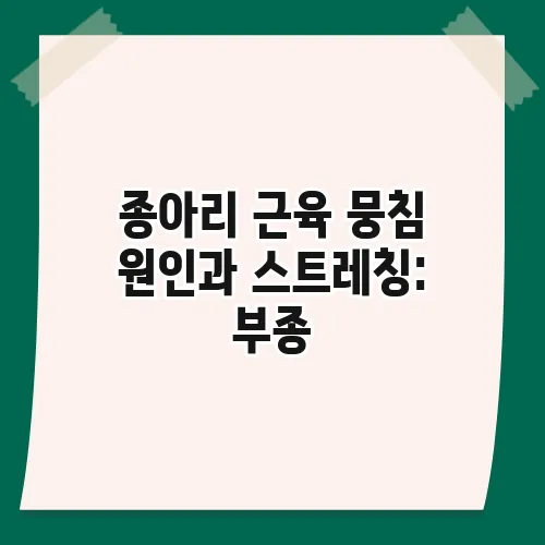 종아리 근육 뭉침 원인과 스트레칭: 부종, 쥐 예방법
