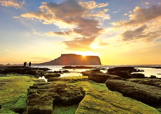 성산포항 여객터미널 우도 배시간표 배편 예약 요금_4
