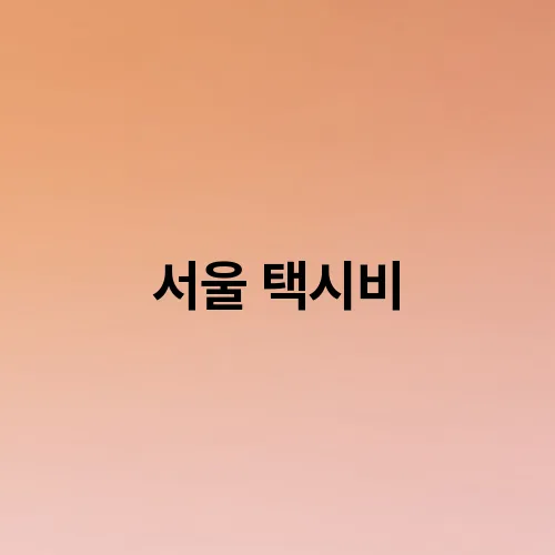 서울 택시비