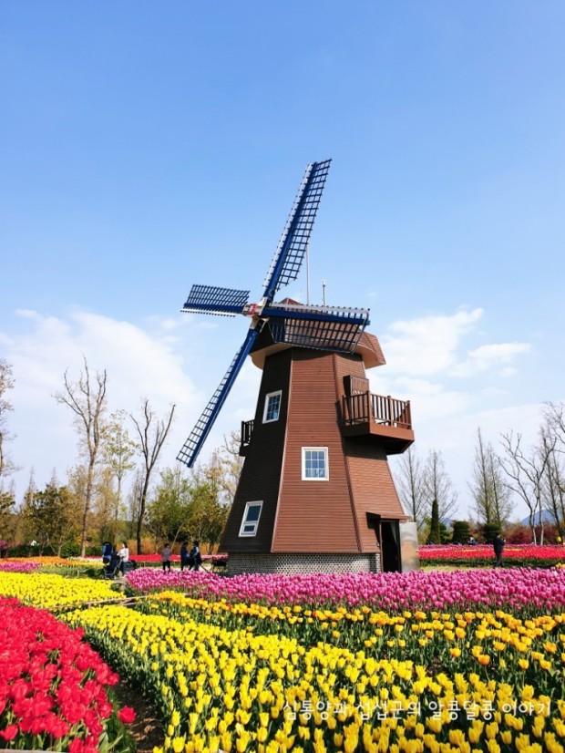 순천만국가정원사진