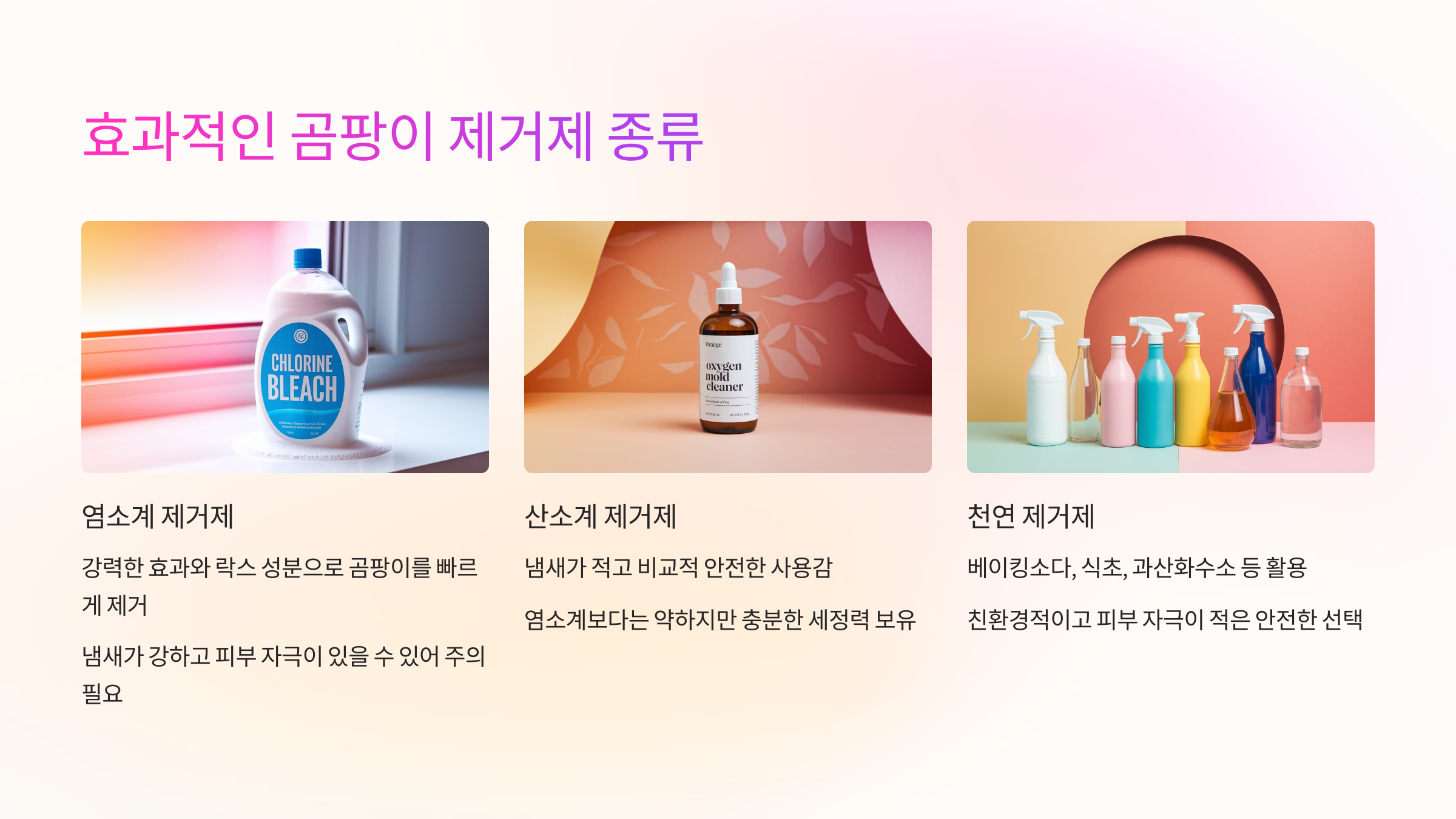 🧴 효과적인 곰팡이 제거제 종류