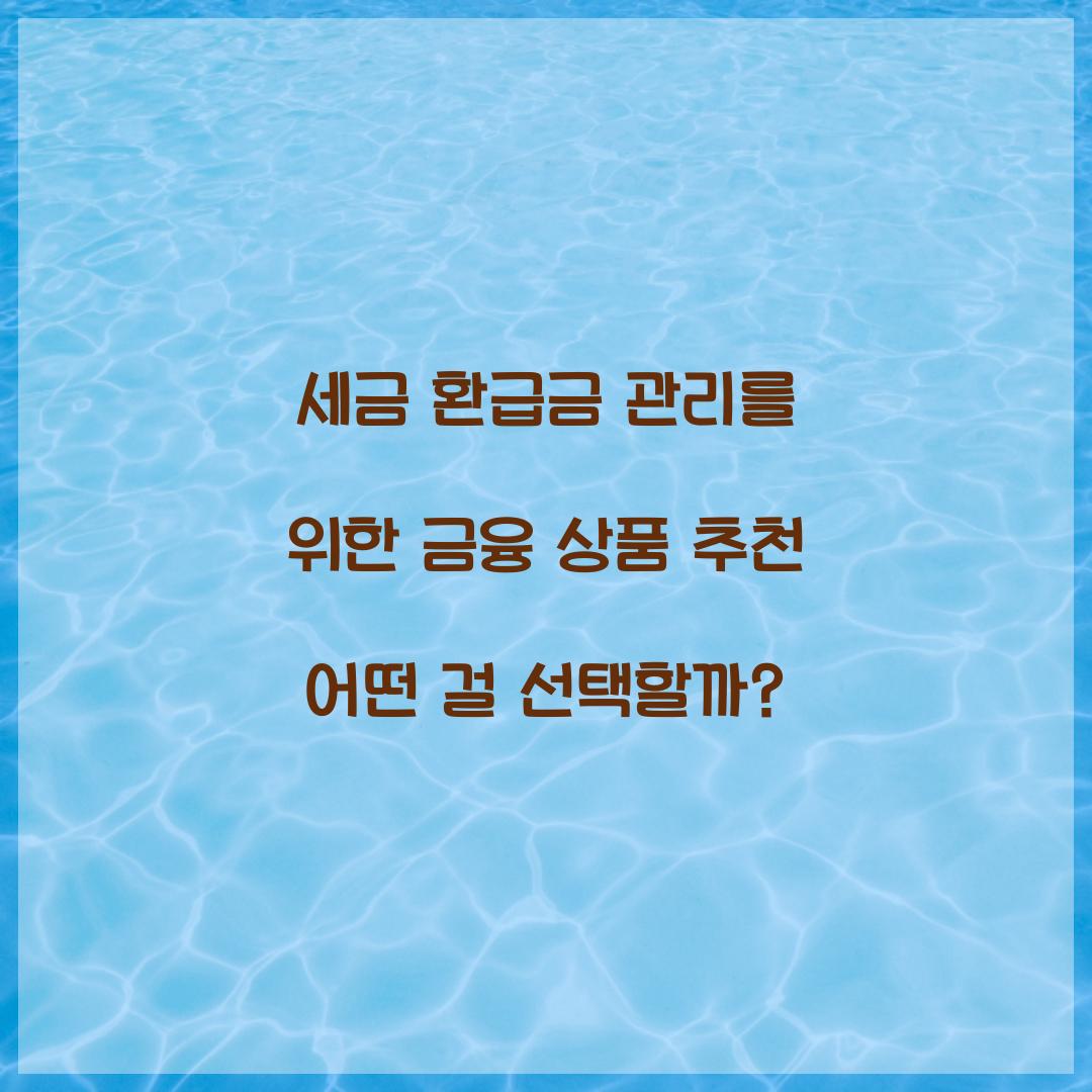 세금 환급금 관리를 위한 금융 상품 추천