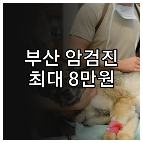 2025 부산 암 검진 지원 최대 8..